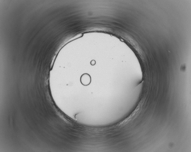 X0000116831377201001151217