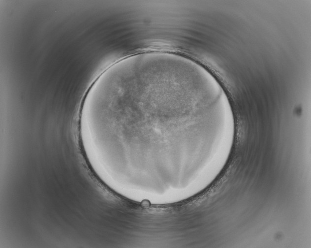 X0000116831378201001151217