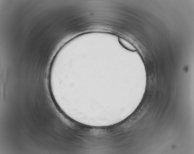 X0000116831379201001151217