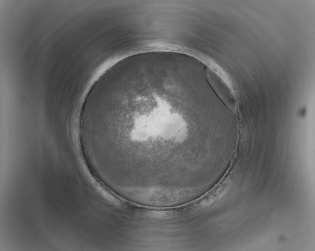 X0000116831381201001151217