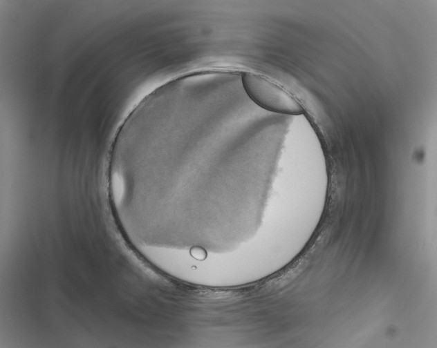 X0000116831382201001151217