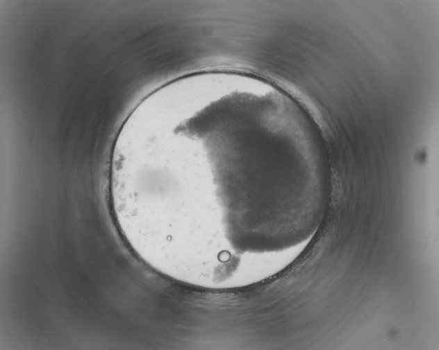 X0000116831383201001151217