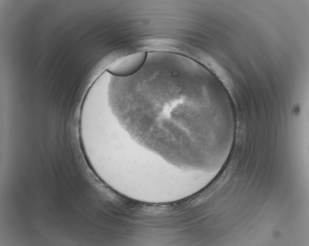 X0000116831386201001151217