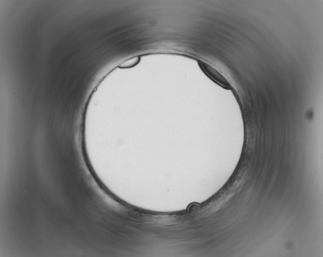 X0000116831387201001151217