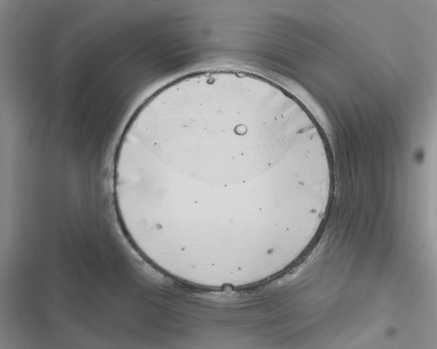 X0000116831388201001151217