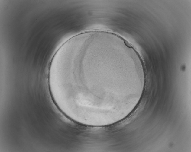 X0000116831390201001151217