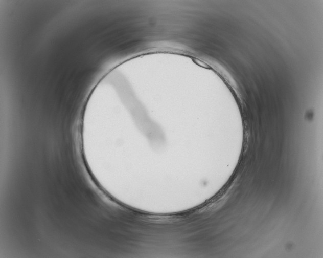 X0000116831391201001151217