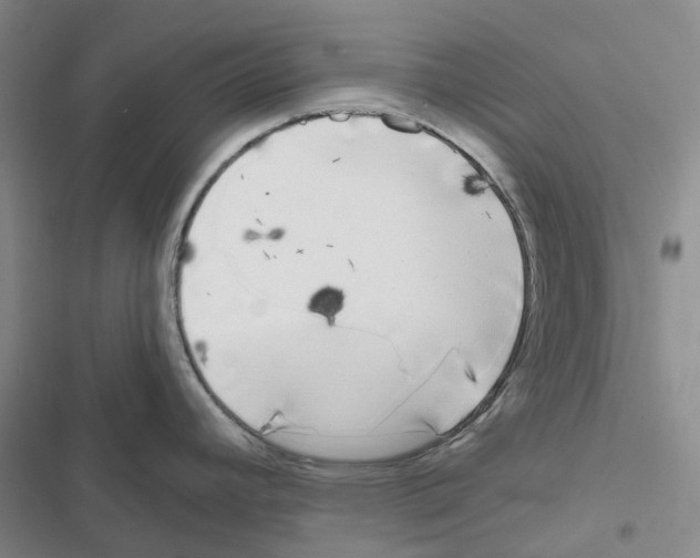 X0000116831392201001151217