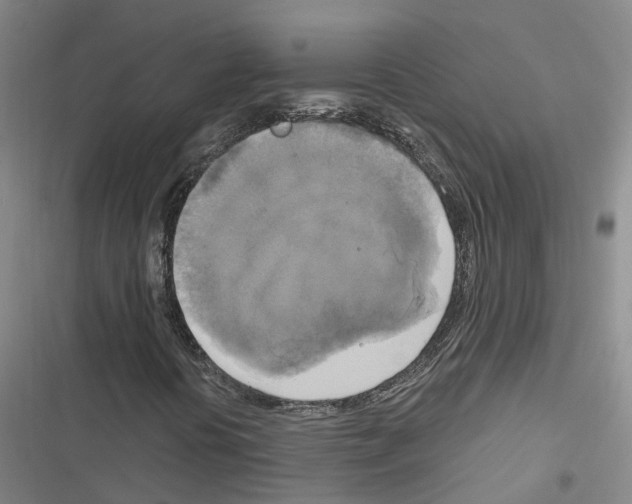 X0000116831394201001151216