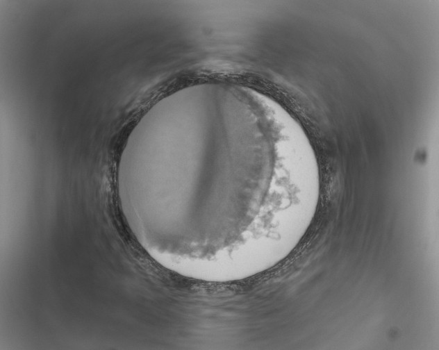 X0000116831397201001151216