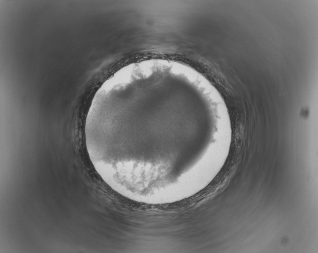 X0000116831398201001151216