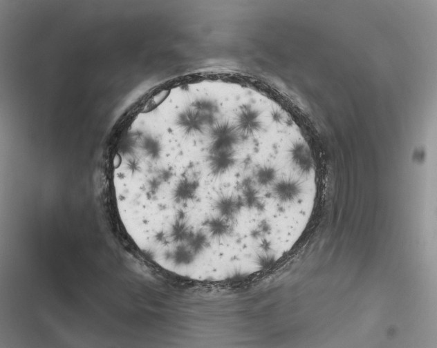 X0000116831400201001151216