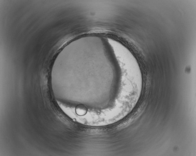 X0000116831401201001151216