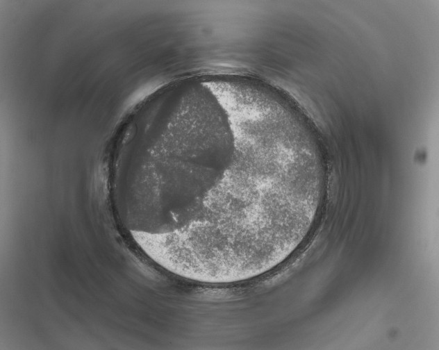 X0000116831402201001151216