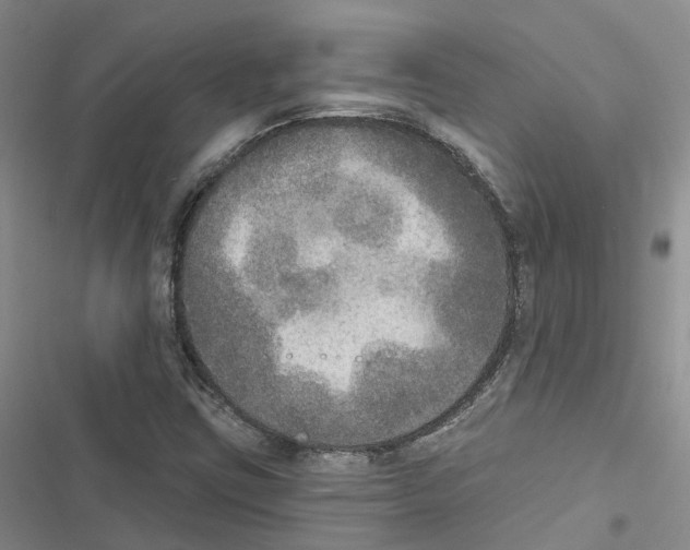 X0000116831403201001151216