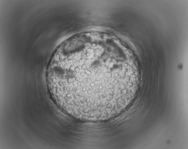 X0000116831404201001151216