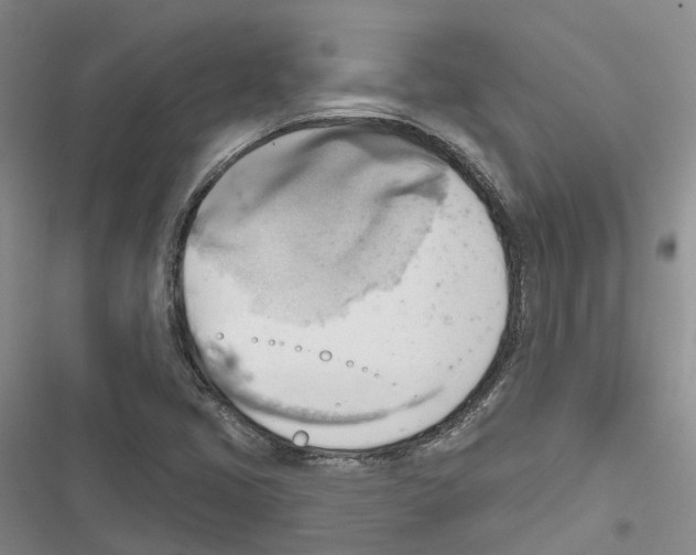 X0000116831405201001151216