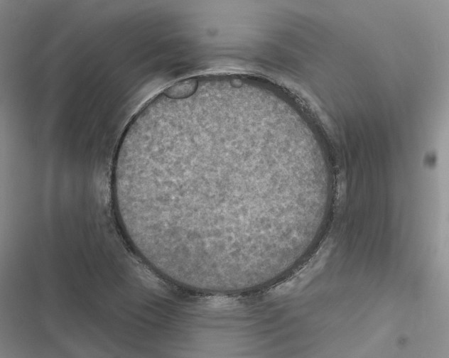 X0000116831409201001151217