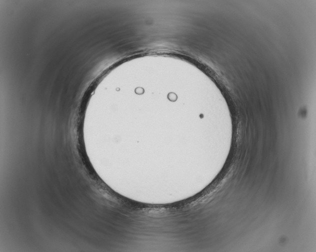 X0000116831410201001151217