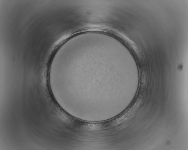 X0000116831411201001151217