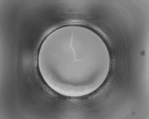 X0000116831413201001151217