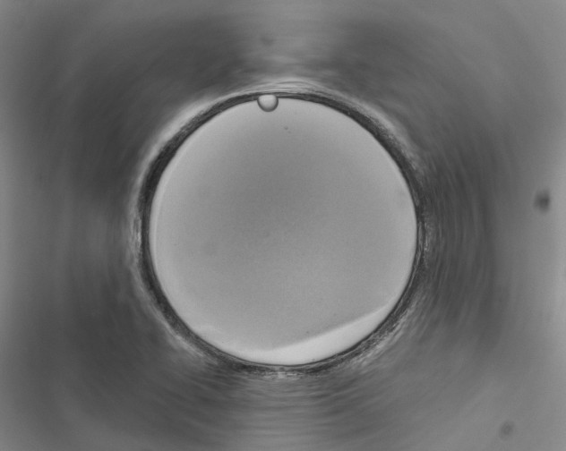 X0000116831414201001151217