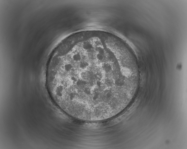 X0000116831415201001151217