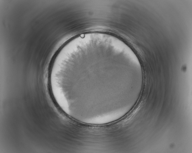 X0000116831418201001151217