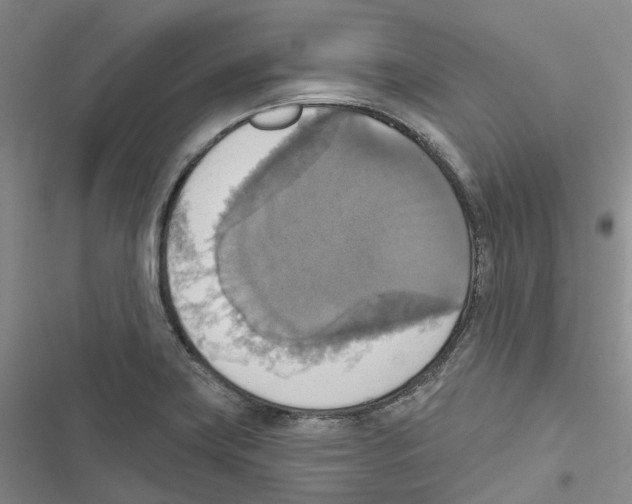 X0000116831419201001151217