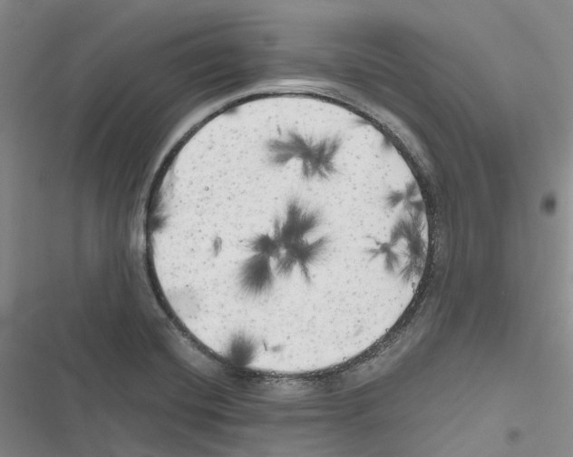 X0000116831420201001151217