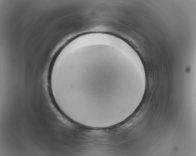 X0000116831422201001151217