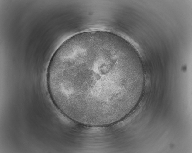 X0000116831423201001151217