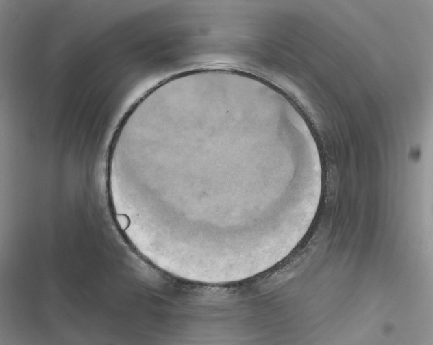 X0000116831424201001151217