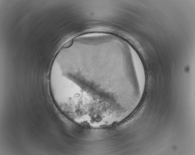 X0000116831425201001151217