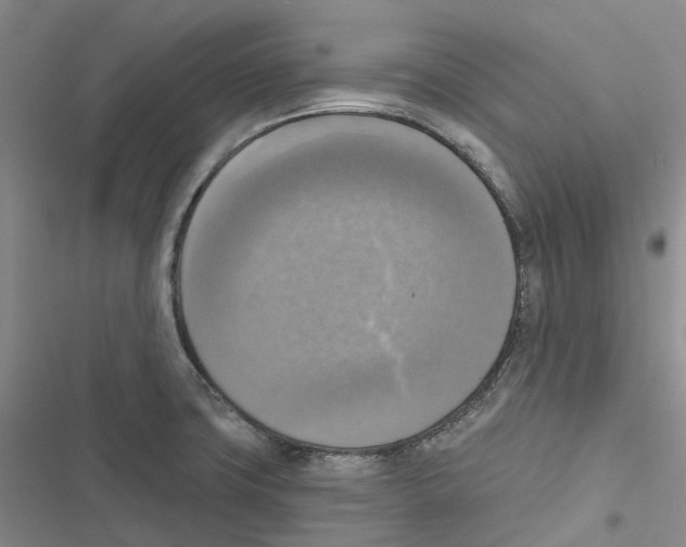 X0000116831427201001151217