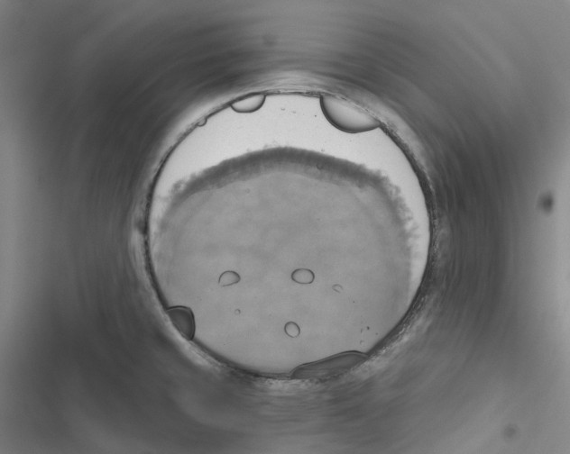 X0000116831429201001151217