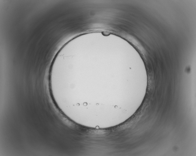 X0000116831431201001151217