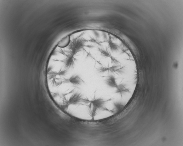 X0000116831432201001151217