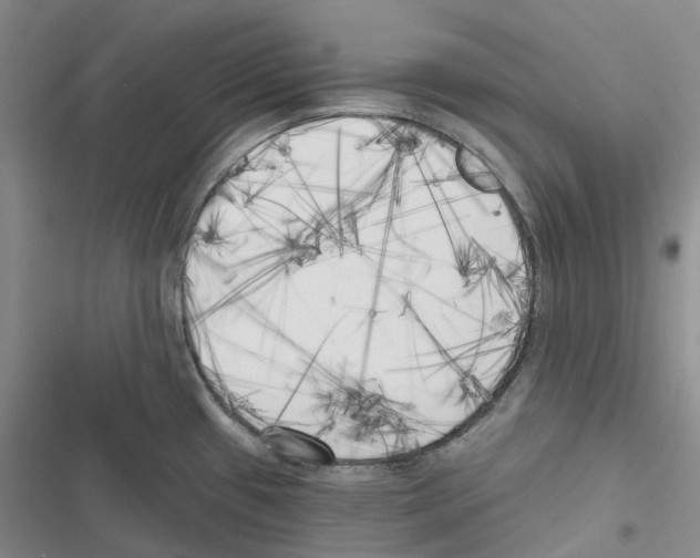 X0000116831433201001151217