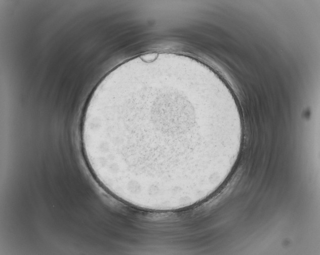 X0000116831434201001151217