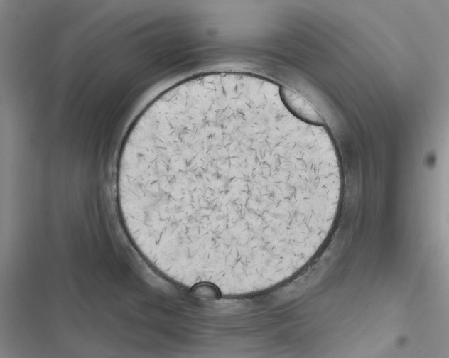 X0000116831436201001151217