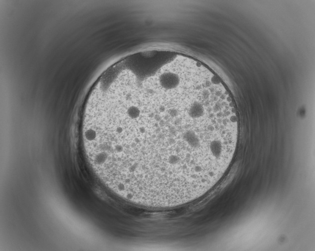 X0000116831438201001151217