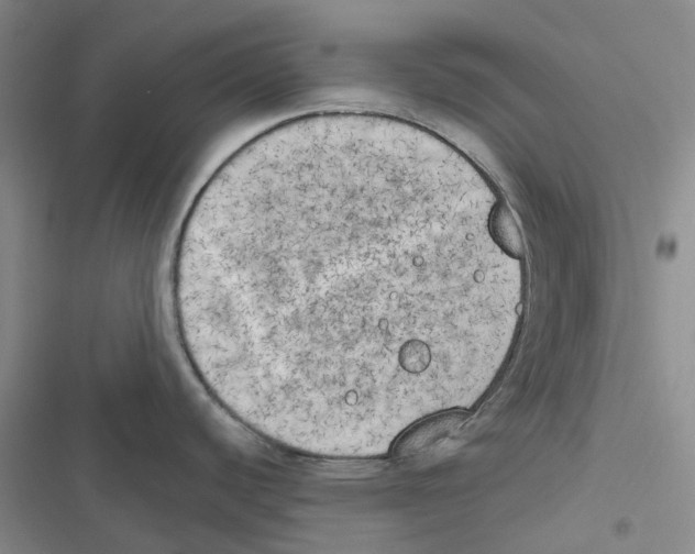 X0000116831440201001151217