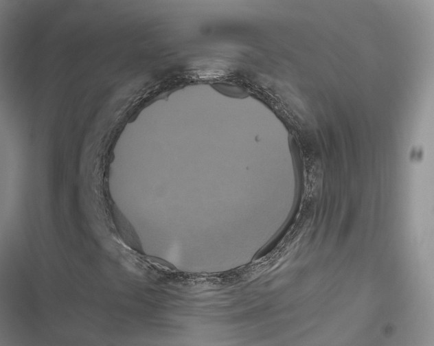 X0000116831441201001151216