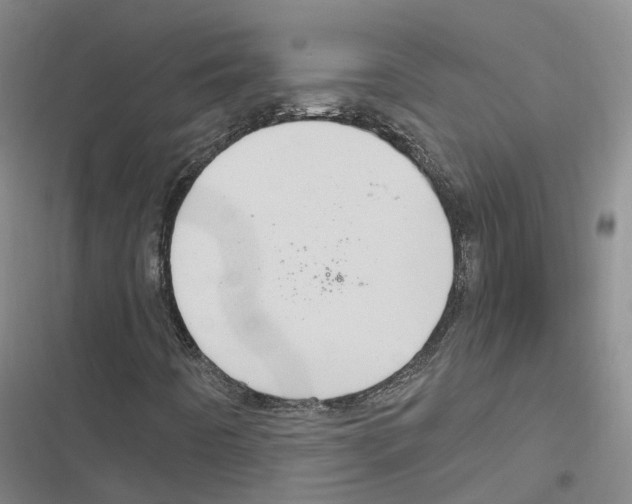 X0000116831442201001151216