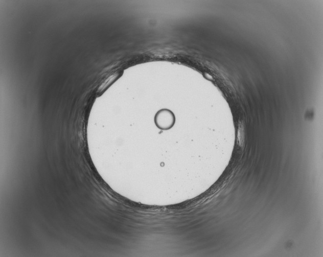 X0000116831444201001151216