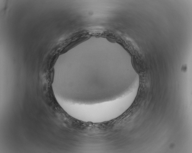 X0000116831445201001151216