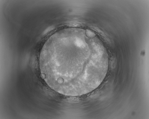 X0000116831446201001151216