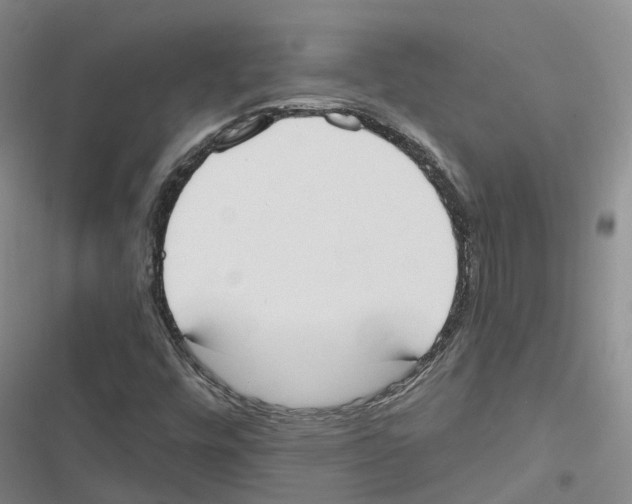 X0000116831448201001151216