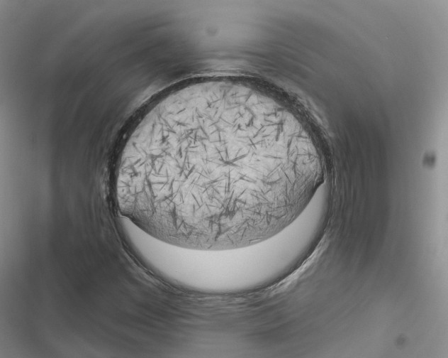 X0000116831449201001151216